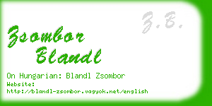 zsombor blandl business card